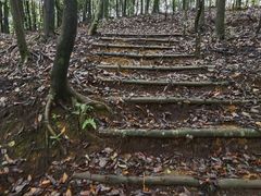 -广州市石门国家森林公园