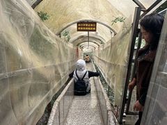 -广东天露山旅游度假区