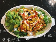 -油梨树AVOCADO TREE(顺义新国展店)