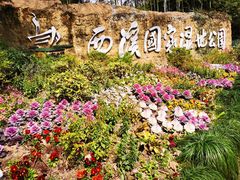 -西溪国家湿地公园