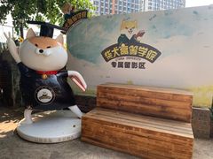 -柴犬高等学院·狗咖·柴犬售卖·宠物训练