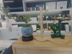 -章光101防脱养发荟