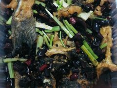 -老板恋上鱼(印象城店)