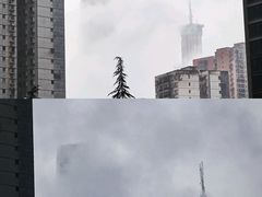 -武汉绿地中心