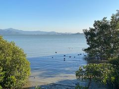 -深圳湾公园(南山区)