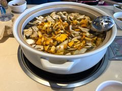 鸡汤锅-爱膳菌锅锅(阳南店)
