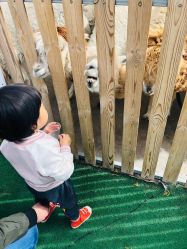 -萌宠亲子动物乐园(槐房万达店)