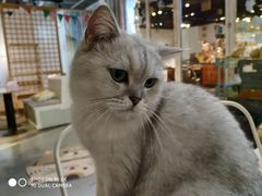 -小时光咖啡馆(开森度假森林店)