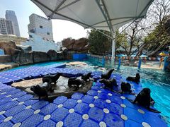 -海合安成都极地海洋公园