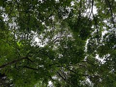 -四海公园(南山区)