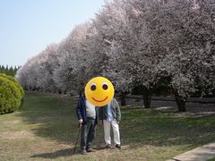 -秦始皇帝陵博物院-丽山园