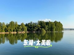 -东湖落雁景区