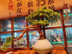 -鸟鹏烧鸟居酒屋(仁恒梦中心店)