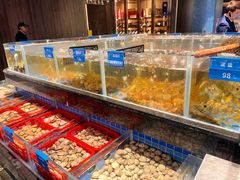 -青蓬蒸汽海鲜·深圳老字号·团建聚会(壹方城店)
