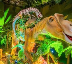 -恐龙探索乐园(磁器口店)