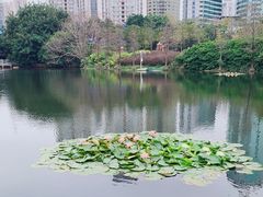 -荔枝公园(福田区)