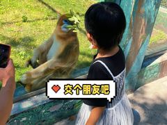 -西安秦岭野生动物园