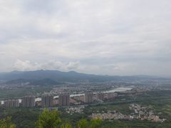 -风云岭森林公园