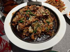 -秀儿四九城·新京菜(亚运村鸟巢店)