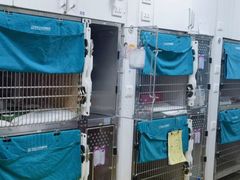 -美联众合动物医院·24h转诊中心
