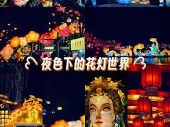 -淄博花灯齐彩城