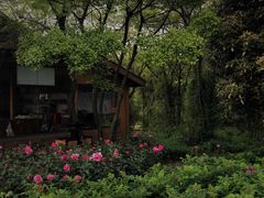 -鹅湖玫瑰文化园