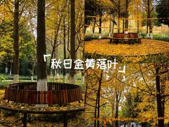 -成都中医药大学(温江校区)