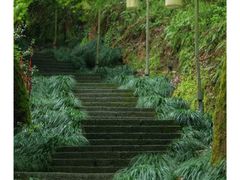 -梦姑塘文化公园