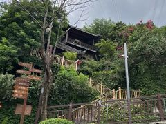 -巴倒烫陆派重庆火锅(南山店)