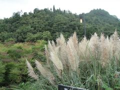 -贵阳市花溪国家城市湿地公园