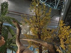 -湖南省地质博物馆