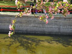 -海棠花溪(元大都城垣遗址公园)