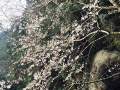 -东天目山风景区