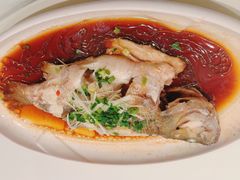 春清蒸多宝鱼-红樱桃·欢乐餐厅(太原里店)