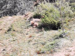 -鄂尔多斯野生动物园