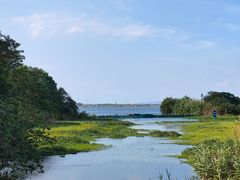 -蟹村草堂·苏式园林人文农家·大闸蟹