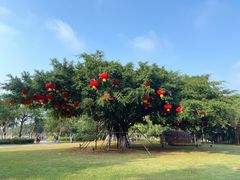 -万绿园
