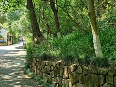 -杭州半山国家森林公园