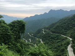 -老虎土菜馆·农家土菜