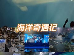 -大连圣亚海洋世界