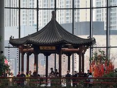 -阿大排档(长春这有山店)