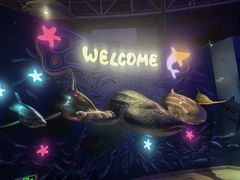 -烟台海昌鲸鲨海洋公园