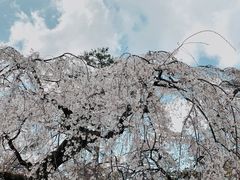 -京都御所