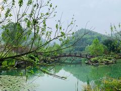 -桃花岭景区