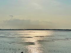 -大湾区中央湿地公园