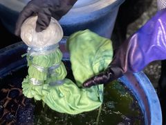 -璞真扎染博物馆