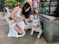 -TrueLove @ Neverland (Husky Cafe)