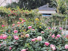 -人民公园(罗湖区)