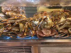 -阳光码头海鲜火锅(世纪大道店)