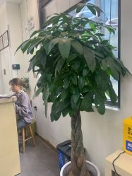 -悦·臻时美发沙龙